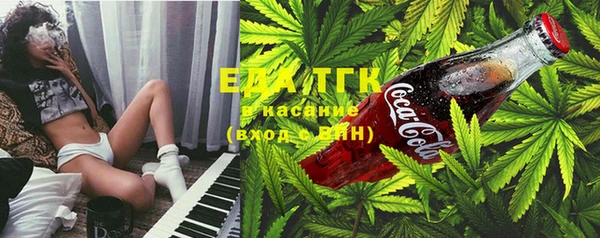 гашик Александровское