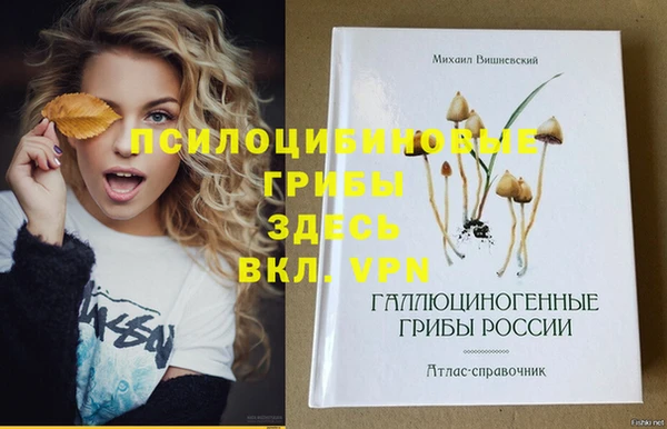 ПСИЛОЦИБИНОВЫЕ ГРИБЫ Елизово