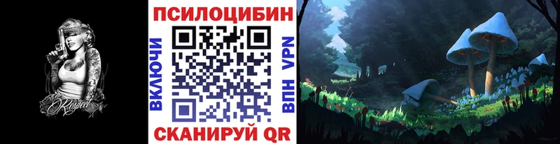 блэк спрут онион  Велиж  Галлюциногенные грибы ЛСД 